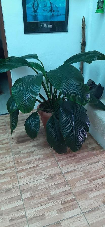 Vivienda Vacacional Sabinosa Екстер'єр фото